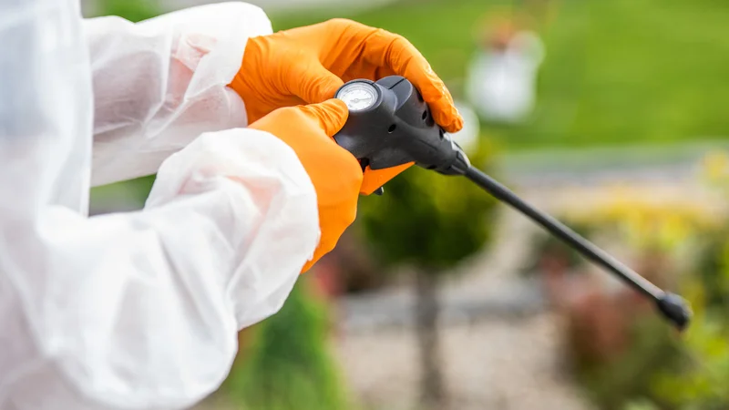 Silberfischchen bekämpfen